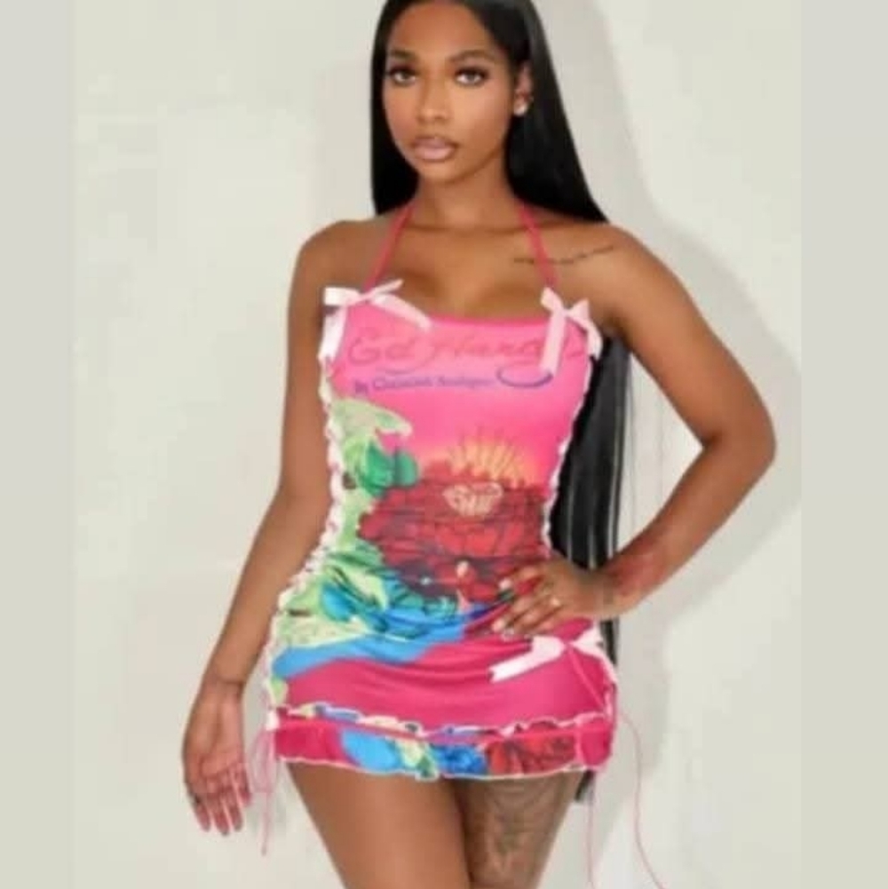 Ed Hardy Pink and Blue Mini Dress